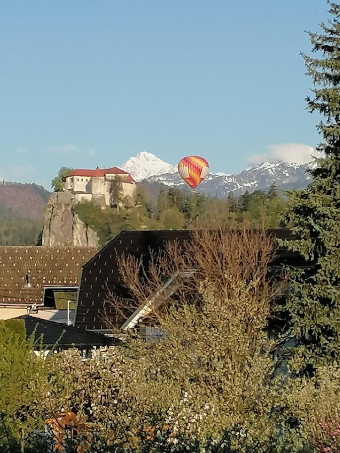 Apartma Tanya Bled Bagian luar foto